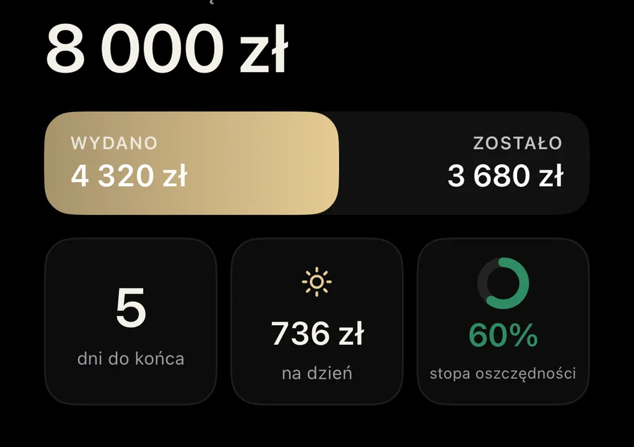 Budżet miesięczny BeWealthy z kwotą wydaną i pozostałą